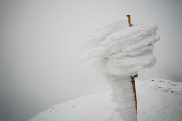 Widok na zaśnieżone i zamarznięte oznaczenie szczytu w Tatrach.