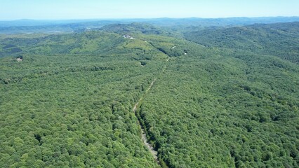 The Igneada Floodplain Forests National Park, aerial photography with drone, Kirklareli, Turkey