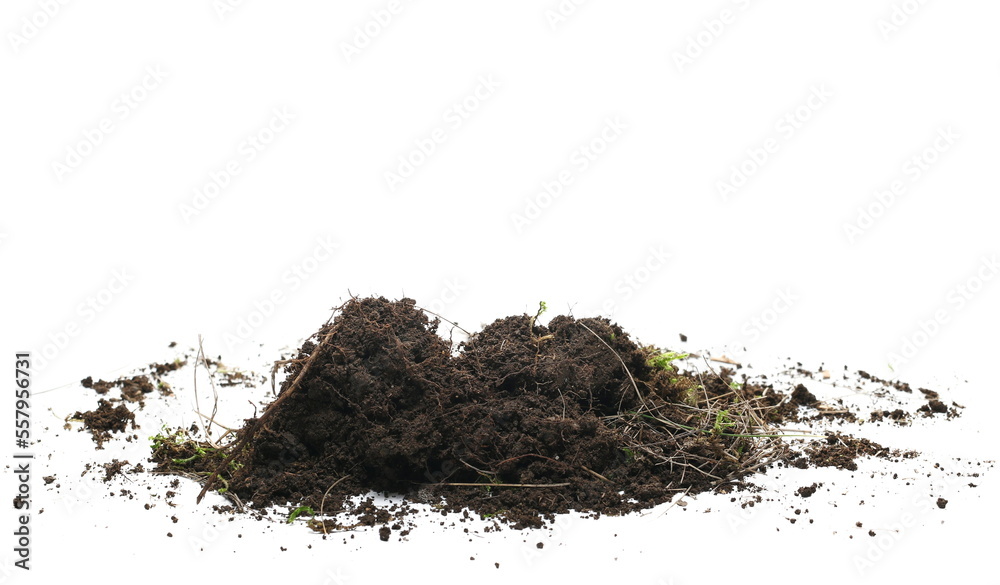 Wall mural soil, dirt pile isolated on white, side view - Wall murals