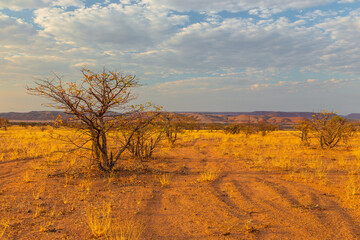 Naklejka premium Namibian landscape Damaraland, homelands in South West Africa, Namibia.