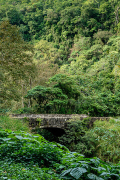 Paisaje selv&aacute;tico con un puente de piedra