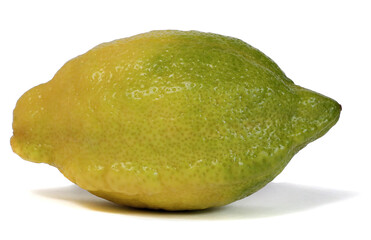 Tropical fruits. Fresh lime isolated on a white background