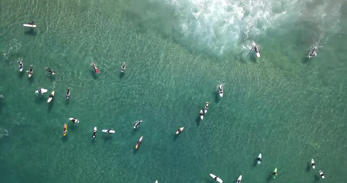 Top down view of surfers paddling to line up above clear aqua water in La Jolla Shores