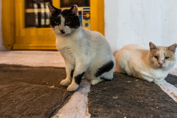 Sonnenuntergangszeit in Naoussa
