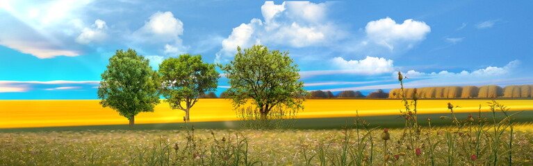   nature landscape sunset Meadow of wheat trees and wild   field sunslight blue sky with white...