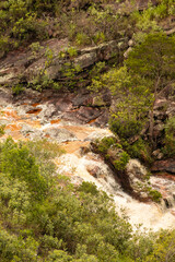 stream in the forest