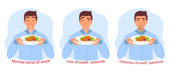 Normal sense of smell, anosmia and parosmia are the consequences of a coronavirus infection. A man sniffs a plate of food. Illustration on transparent background