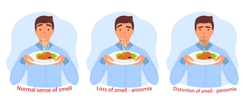 Normal sense of smell, anosmia and parosmia are the consequences of a coronavirus infection. A man sniffs a plate of food. Illustration on transparent background