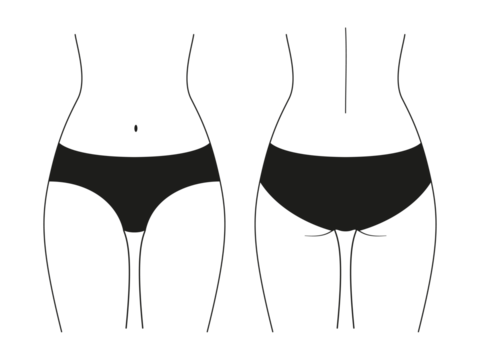 Classic women's briefs. Front view and back view. Illustration on transparent background
