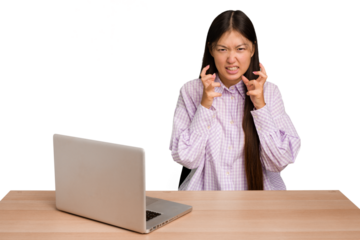 Young student asian woman in a workplace with a laptop isolated upset screaming with tense hands.