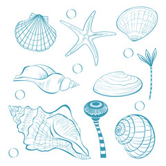 Sea set, with the image of shells, starfish, algae in the sketch style on the theme of vacation, summer, holidays and travel, design for testille, fabric, wrapping paper and wallpaper
