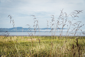 Obraz premium fog over the sea