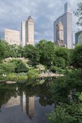 Fototapeta premium Central park