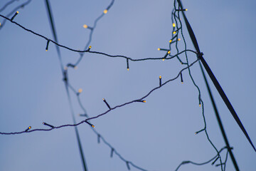 barbed wire fence