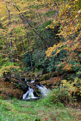 Small Creek and Waterfall in Rural North Carolina