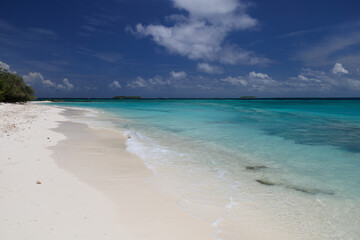 Bungalow on a tropical island with palm trees