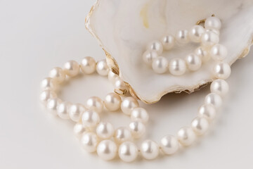 beautiful shell oyster empty with pearls