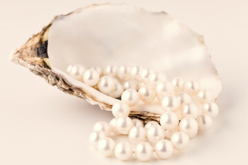 beautiful shell oyster empty with pearls