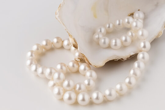 beautiful shell oyster empty with pearls