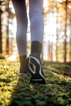 Walking or running legs sport shoes, fitness and exercising in autumn or spring nature. Cross country or trail runner outdoors.
