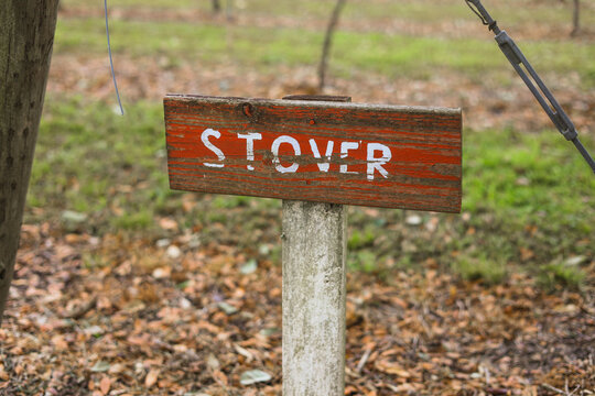 stover grape vives 