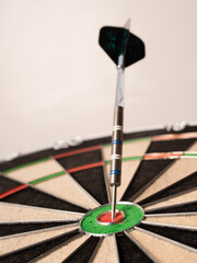 Professional sisal dart board with real structure