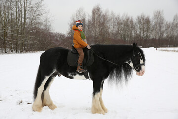 Little rider. Cute child, kd, fun boy on horseback and winter landscape, scenery. Winter active sportsб rest, recreation. Chld with animal, pet, horse - breed tinker. Equestrian sport in snowy winter