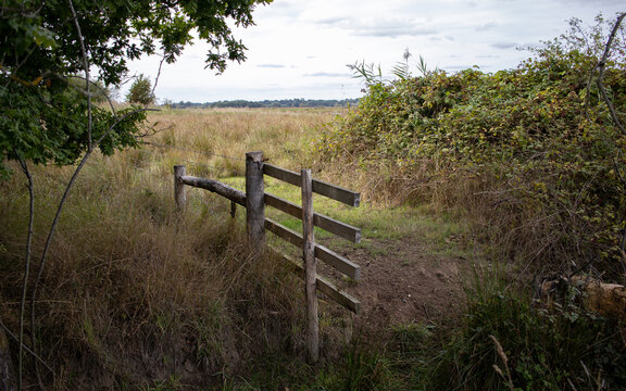 Carlton Marshes Fence Landscape View