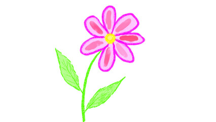 Fototapeta na wymiar png image of a fuchsia flower