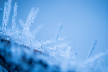 Ice crystals on tree branches. Ice needles on a branch. Frost crystals covering the branch. A...