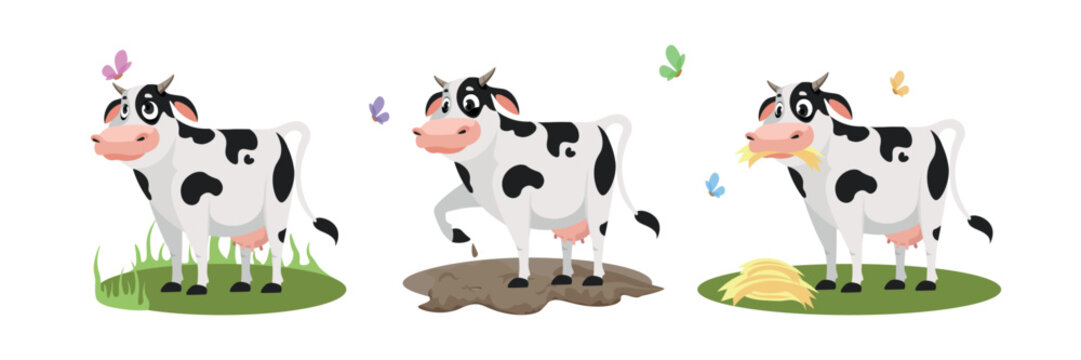 Vector illustration of cute and beautiful cows in cartoon style. Cute characters of a cow with butterflies on the lawn, land and eating hay on a white background.