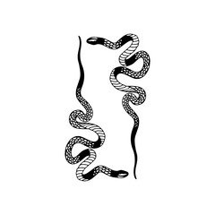 vector illustration of two snakes