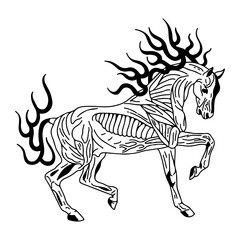 vector illustration of a horse with fire