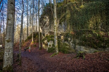 Teufelsküche, Germany - Forest in Winter