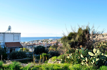 Fototapeta premium house on the hill