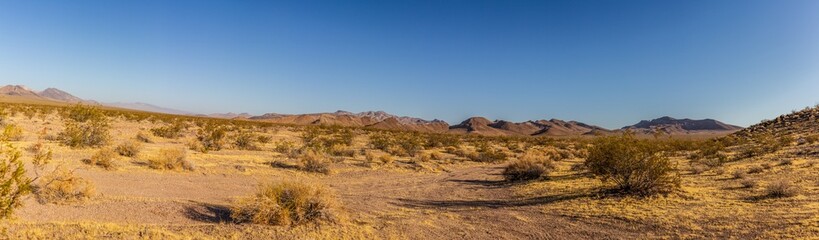 Fototapeta na wymiar Panorama shot of Death Valley desert flora and sand with mountains at sunny day, america