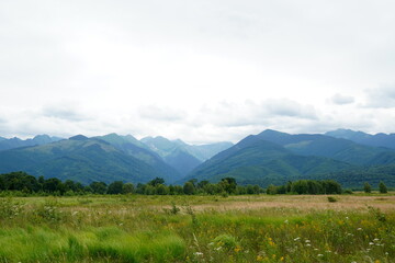Nature landscape with Fagaras mountains, forest and grassfield in Transylvania, Romania on cloudy summer day