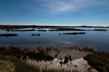 Lagoon near Venice