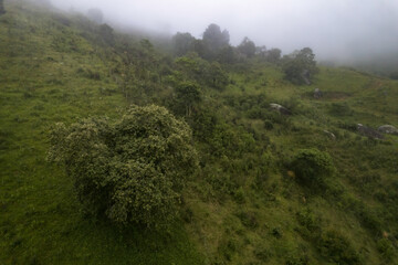 Mountains with fog at night arrival. Fog taking over the vegetation.