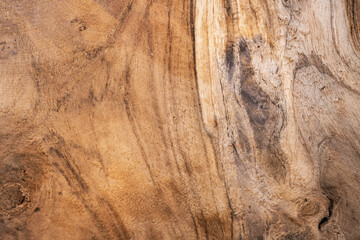 Closeup texture of teak wood board. 