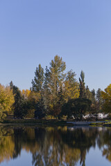 Fototapeta premium Autumn Trees against a Blue Sky
