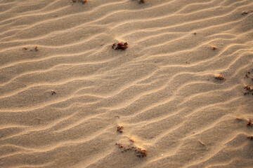 Sand in the desert with a pattern from the wind as a background.