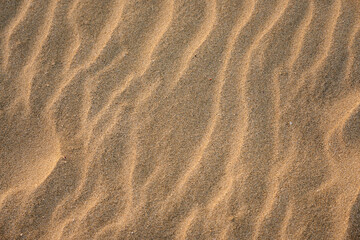 Fototapeta na wymiar Sand in the desert with a pattern from the wind as a background.