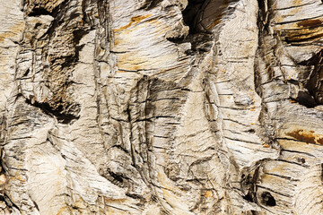 Palm tree texture. Bark background. Exotic tree pattern. Summer texture. Palm tree trunk texture. Crumpled wood background. Wrinkled tree bark pattern.