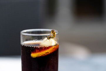Wespen am Cola Glas