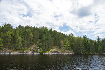Fototapeta na wymiar Lake, forest, cloudscape