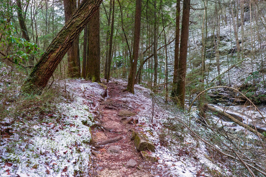 Hiking the Fiery Gizzard trail by a mountain creek and evergreen trees with light snow fall. In South Cumberland State Park, Tracy City, Tennessee USA.