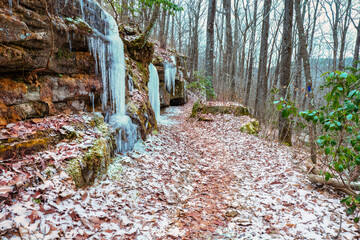 Hiking the mountain top Perimeter Trail loop with ice and snow. At the University of the South in Sewanee, Tennessee
