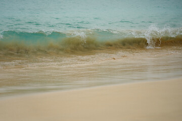 Tropical sandy beach with clear water as a backdrop.