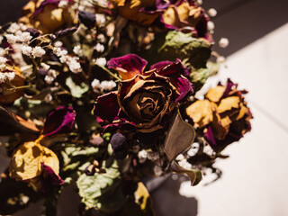 Fototapeta premium Dried rose flower